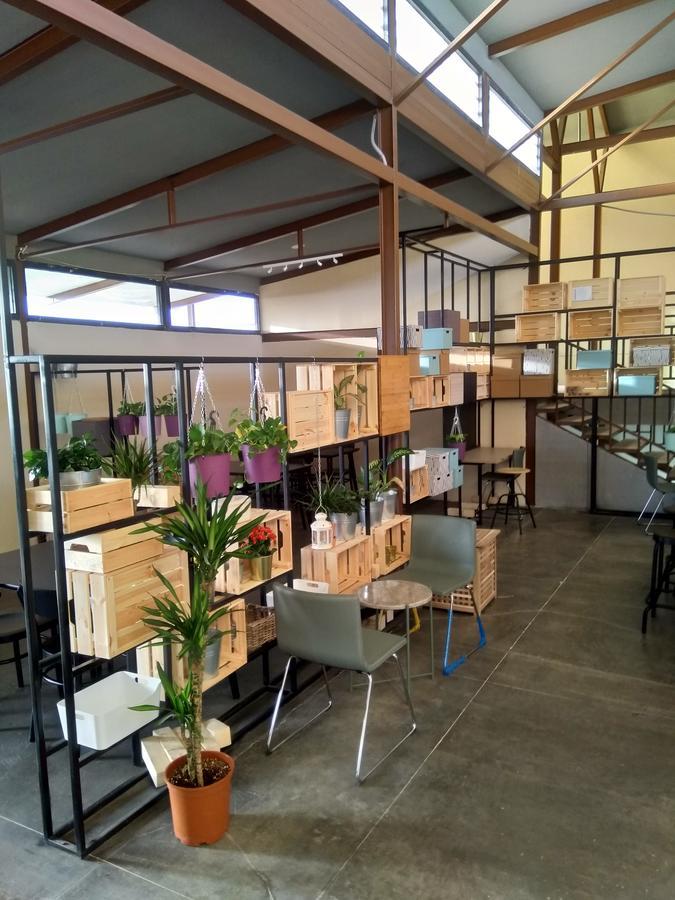 Beit Al Ward Villa Ash Shafā Dış mekan fotoğraf